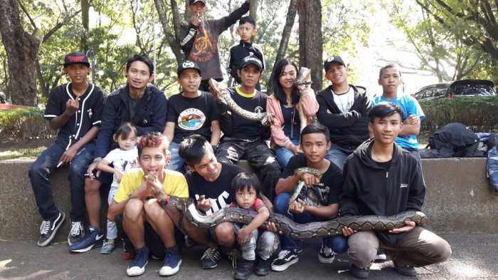Ares, Komunitas yang Kerap Bawa Reptil ke Sekolah-sekolah