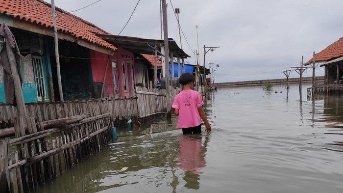 Banjir Rob Masih Melanda Kandanghaur Indrmayu, 3 Rumah Rusak, Ombak Capai Tiga Meter