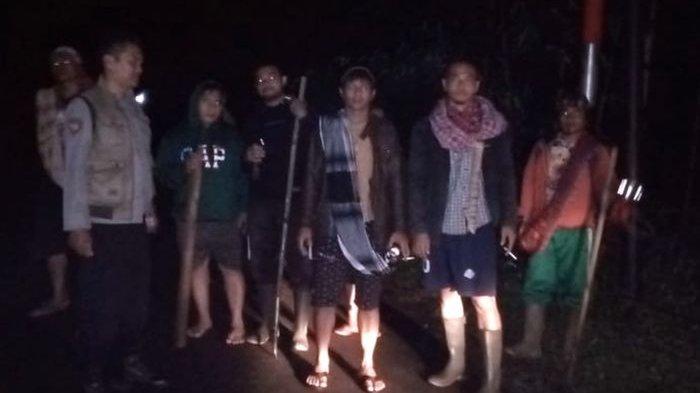 Aksi Heroik Polisi dan Warga di Singajaya Garut Gagalkan Pencurian Kerbau, Kejar Pelaku hingga Hutan