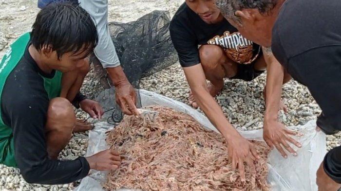 Cuaca Buruk, Nelayan Sukabumi Pilih Mengais Ini di Pinggir Laut untuk Makan Anak Istri