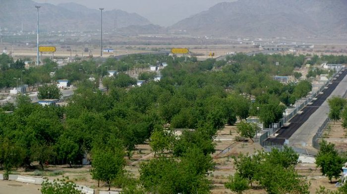 Pohon Soekarno di Padang Arafah.