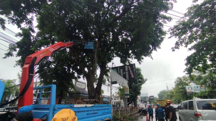 Cirebon Diterpa Hujan Deras, Pohon Angsana Tumbang Timpa Gerobak Buah, Pedagang Luka