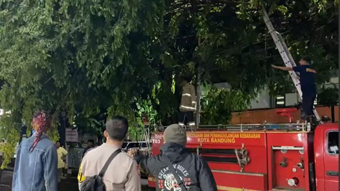 PUTING BELIUNG - Pohon tumbang akibat terjangan puting beliung di Ujungberung, Kota Bandung, Selasa 4 November 2025.