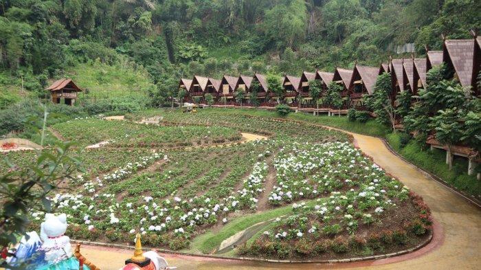 spot saung di kawasan Indonesia 