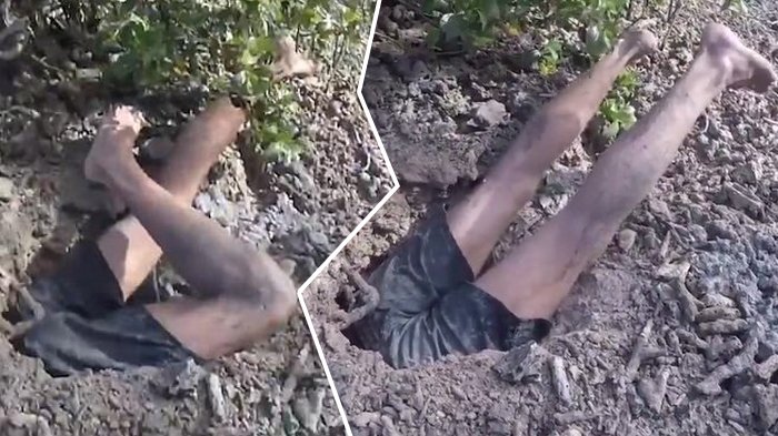 Nekat Masuk Lubang, Pria ini Hampir Kehilangan Jari, Lihat Makhluk Apa yang Berhasil Ia Tangkap