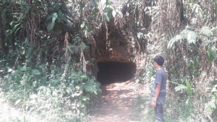 Misteri Goa Jepang di Purwakarta, Dihuni Banyak Kelelawar, Mirip di Vietnam - Tribunjabar.id
