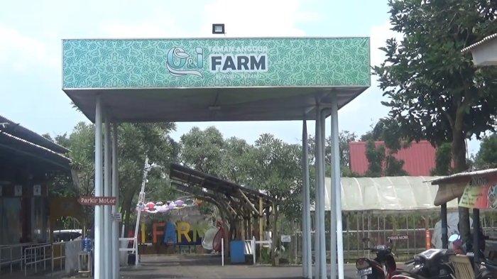 Konser Musik Tri Suaka Sebabkan Kerumunan Massa Viral, Pengelola Taman Anggur Subang Akan Kooperatif