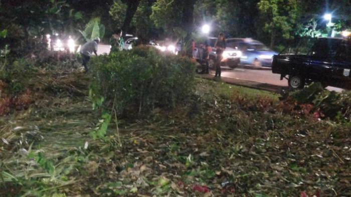 Ahok Yakin Para Pendemo yang Rusak Taman Tak Akan Menggantinya