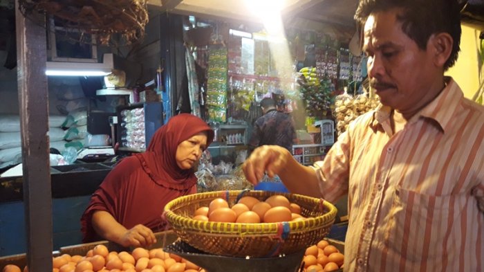 Duh, Harga Telur Ayam di Peternak Terus Naik