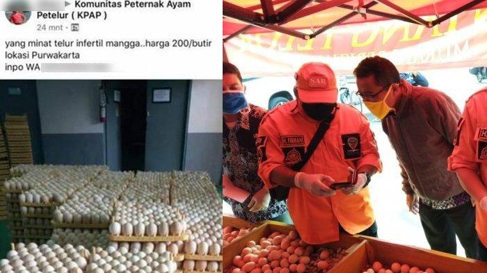 Telur infertil di pasaran
