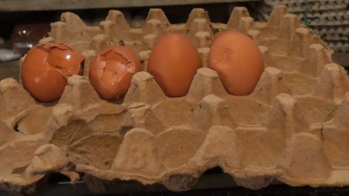 Harga Telur Ayam Mahal Banget, Warga di Cimahi Pun Memilih Membeli Telur Ayam Pecah, Lebih Murah