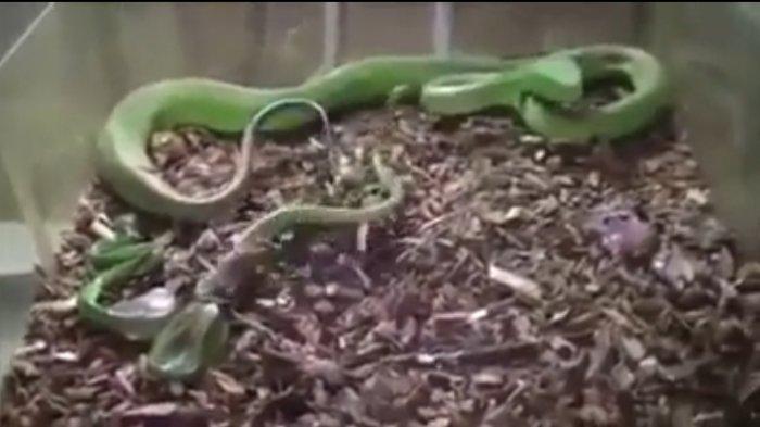 Qirqdan ortiq ayollar bilan porno rasmlar