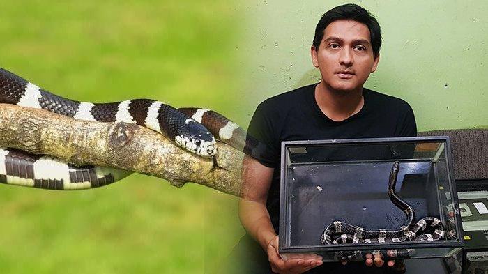 külotlu çorapda eshakda bexosdan