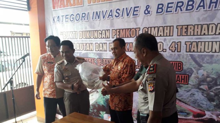 Wakil Wali Kota Cimahi Menyerahkan Ikan Peliharaannya yang Berbahaya Kepada BKIPM