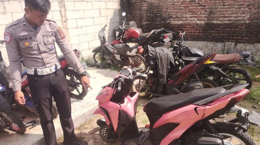 Tribun
