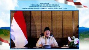 147-PLTS-Diresmikan-Presiden-5383-Rumah-Tangga-di-Wilayah-3T-Kini-Nikmati-Listrik-Bersih.jpg