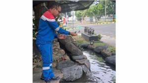 1Pertamina-Patra-Niaga-Regional-JBB-Dukung-Pemanfaatan-Limbah-Daun-Sirih-dan-Konservasi-Ikan-Toman.jpg