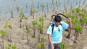 1Pertamina-Patra-Niaga-Regional-Jawa-Bagian-Barat-Luncurkan-BIOGATOR-untuk-Rehabilitasi-Mangrove.jpg