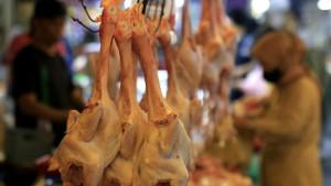 20250915_GANI_Daging_Ayam_05.jpg