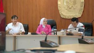 Anggota-Komite-I-DPD-RI-Aanya-Rina-Casma.jpg