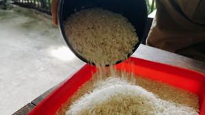 Beras-medium-yang-dibeli-konsumen-di-Pasar-Sukabumi.jpg