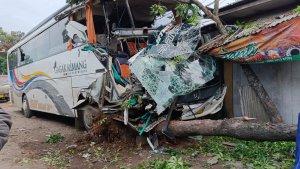Bus-Gagak-Rimang-Tabrak-Pohon-Senggol-Truk.jpg