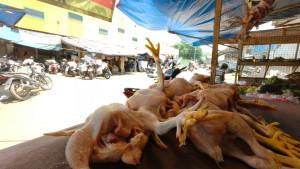 Kondisi-lapak-pedagang-ayam-potong-di-Pasar.jpg
