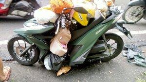 Kondisi-motor-yang-tertimpa-sebatang-pohon-pinus.jpg