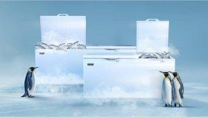 MODENA-Perkenalkan-Chest-Freezer-Terbaru-Solusi-Andal-untuk-Berbagai-Sektor-Usaha.jpg