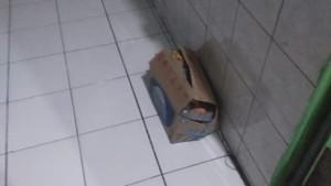 Penemuan-bayi-oleh-Warga-Desa-Panawangan-Ciamis.jpg