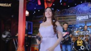 Penyanyi-dangdut-Lusyana-Jelita-lolos-dari-maut-usai-terlibat-kecelakaandi-Tol-Sragen-Timur.jpg
