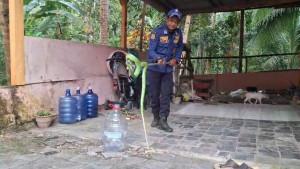 Petugas-Damkar-Pangandaran-sedang-mengevakuasi-ular-hijau.jpg