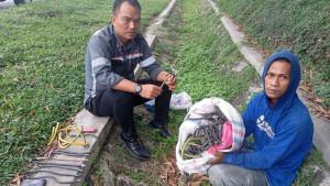 Petugas-mengamankan-pelaku-pencurian-kabel-grounding-kanan-di-jalur-Whoosh.jpg