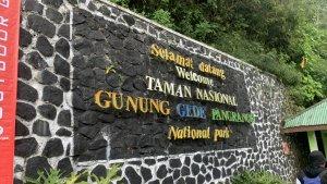 Pintu-masuk-jalur-pendakian-Gunung-Gede-Pangrango.jpg