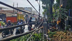Pohon-beringin-di-Jalan-Caringin.jpg