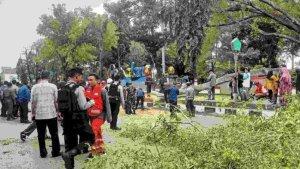 Proses-evakuasi-dan-pemotongan-pohon.jpg