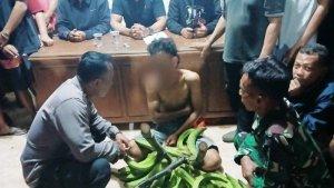 REMAJA-CURI-PISANG-AAP-17.jpg