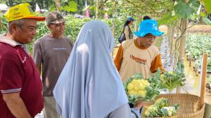 Ratusan-petani-praktik-langsung-teknologi-pertanian-di-Karawang.jpg