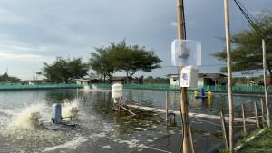Salah-satu-produk-eFishery-di-kolam-ikan.jpg