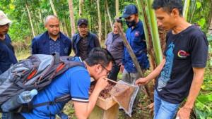 Satu-di-antara-daya-tarik-di-Desa-Wisata-Selasari-di-Kabupaten-Pangandaran-Jawa-Barat.jpg