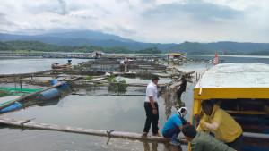 Sejumlah-pembudidaya-ikan-di-waduk-Jatigede-melakukan-pembongkaran-mandiri.jpg