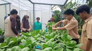 Siswa-SLB-Yakalimu-Wanayasa-saat-belajar-menanam-sayuran-hidroponik-di-halaman-sekolah-mereka.jpg