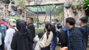 Suasana-Bandung-Zoo-Selasa-2542023.jpg