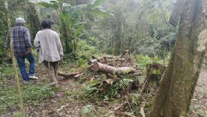 Tim-advokasi-dari-Fraksi-Rakyat-melihat-lokasi-illegal-logging-di-Blok-Cangkuang-SUKABUMI.jpg