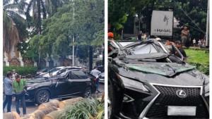 Tragedi-maut-mobil-Lexus-tertimpa-pohon-tumbang-sang-pengemudi-tewas.jpg