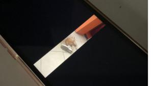 Video-Reel-Rasio-Viral.jpg