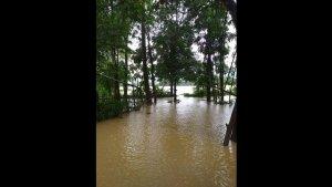 banjir-merendam-puluhan-hektare-sawah-dan-beberapa-rumah-warga.jpg