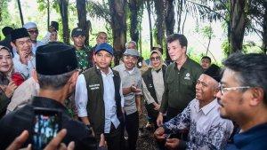 bertemu-petani-aren-di.jpg