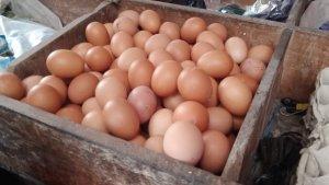 foto-telur-di-Pasar-Sindangkasih.jpg