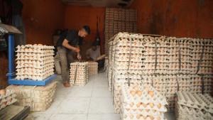 ilustrasi-telur-ayam.jpg